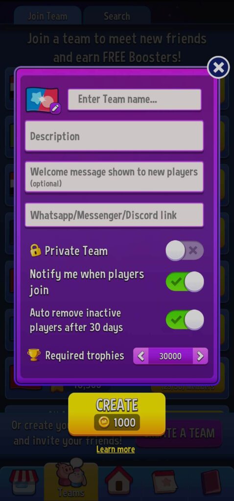 Set up a team and fill the details